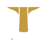 T.LEAGUE